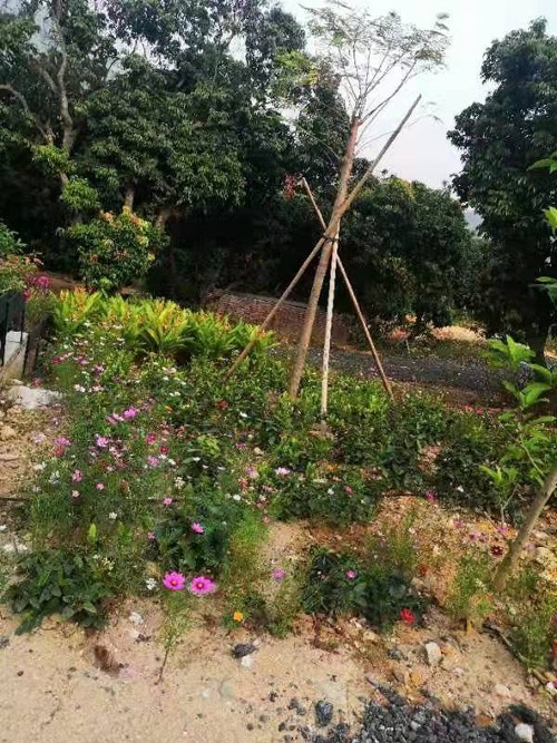 花园式办公